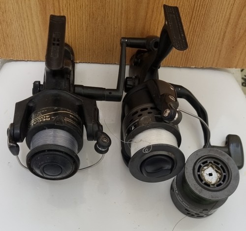Pair baitrunner fishing - baitrunner,